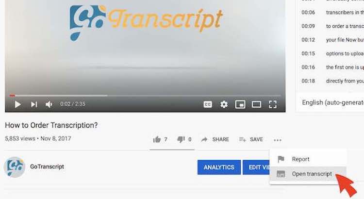 Getting the Transcription of a Video From YouTube