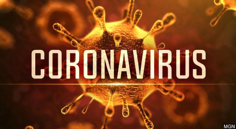 Coronavirus (COVID-19) Causing Many to Consider Home-Based Jobs